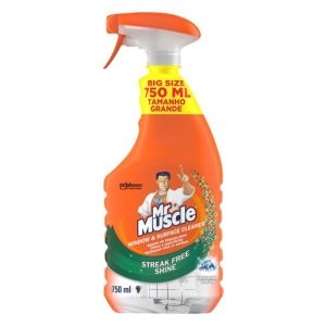 MR MUSCLE W/S MOUNT FRESH