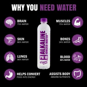 WATER ALKALINE PH10