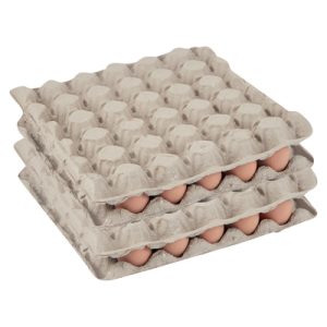 EGGS AZARIA XLARGE