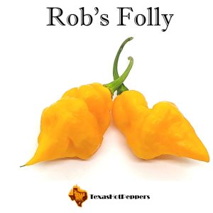 ROBS SPICES CHILLI