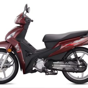 MOTOWAVE CARB CLEANER