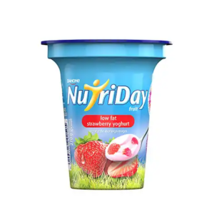 DANONE NUTRIDAY S/BERRY