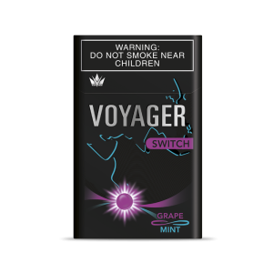 VOYAGER SWITCH GRAPE MINT