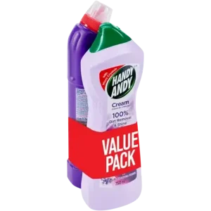 DOMESTOS + HANDY ANDY V.PACK