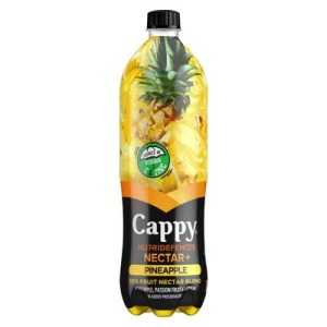 CAPPY FRUIT NECTAR BLEND ASST