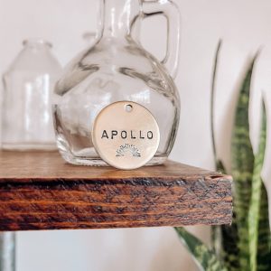 APOLLO STEEL WOOL SUNSHINE