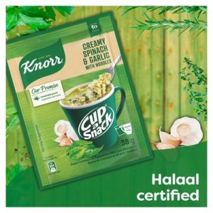 KNORR CAS SPN & GARLIC