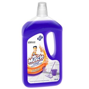 MR MUSCLE FLR LAVENDER