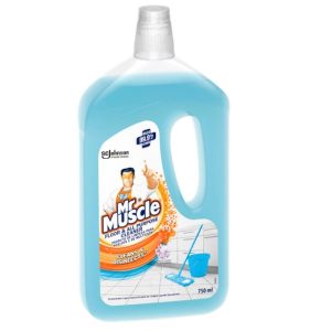 MR MUSCLE FLR HARMONY