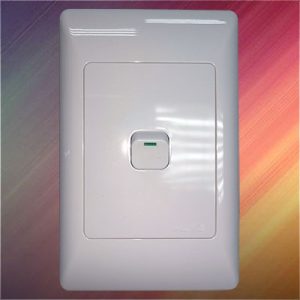 ELEC P/WALL W/SWITCH LEVEL1