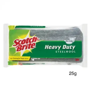 S/BRITE STEEL WOOL 25GM