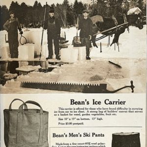BAG 10X15 ICE RP