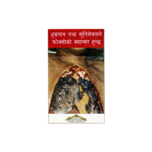 MARLBORO GOLD H/P