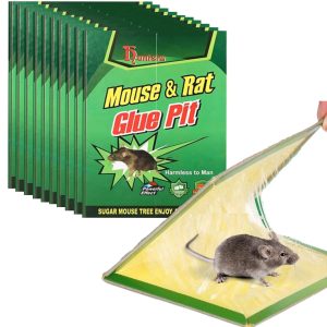 MOUSE/RAT GLUE BOARD
