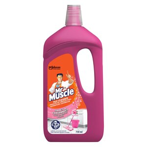 MR MUSCLE T/CLEANER P/POUR