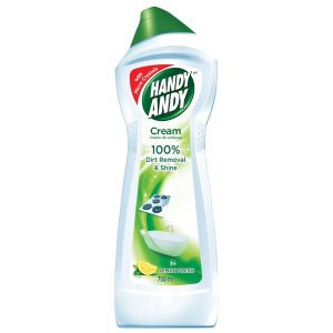 HANDY ANDY HYGIENE S/FRESH