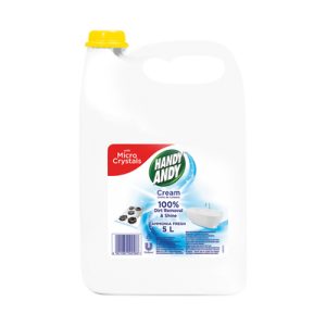 HANDY ANDY AMMONIA