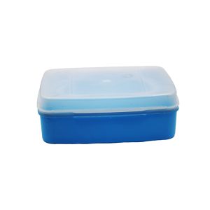 C/T OLIVE CONTAINER NO.4