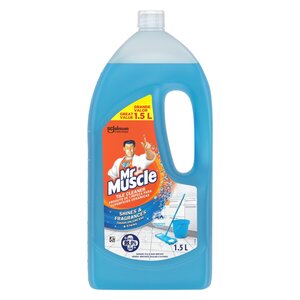 MR MUSCLE T/CLEANER M/FRESH