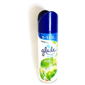 GLADE MORNING